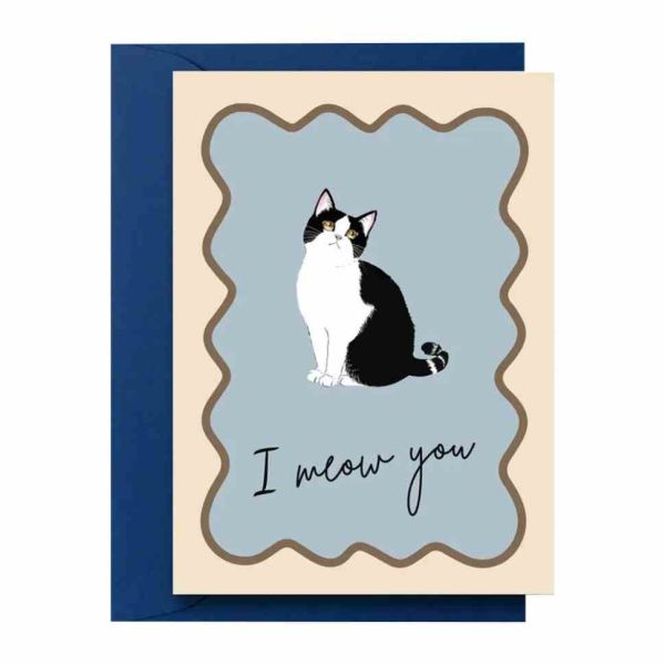 Листівка з конвертом Кіт СS-GS-004 