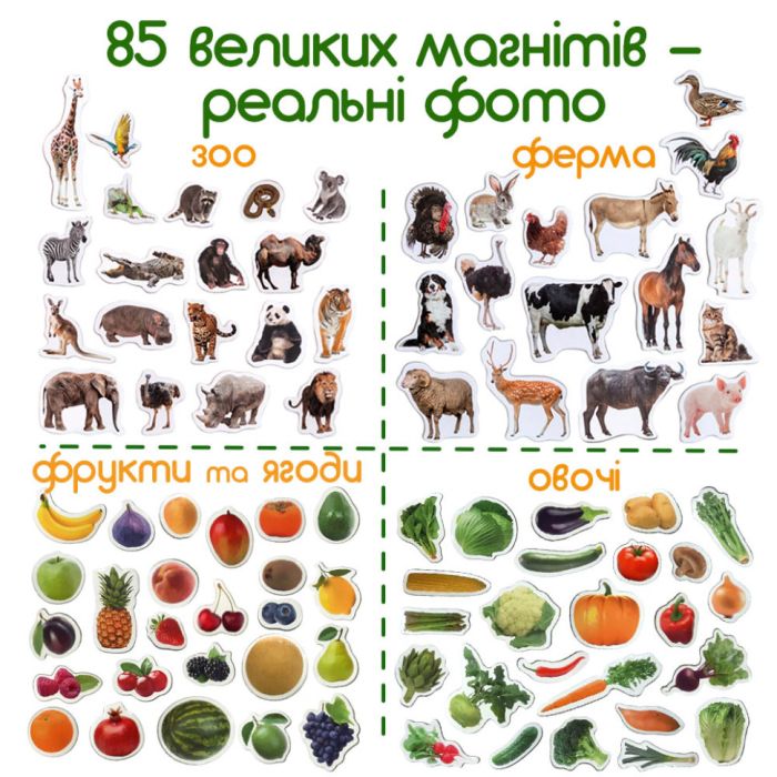 Набір магнітів Magdum "Дитячий світ" ML 4031-61 EN