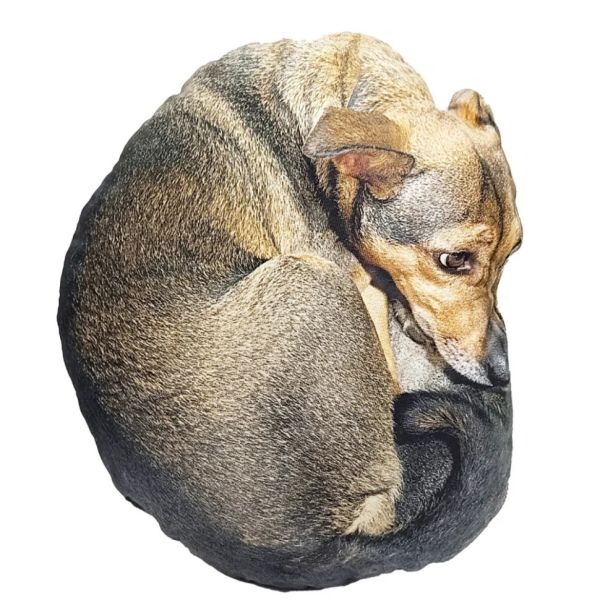 Дитяча м'яка іграшка "Собака Маня" DOG-MS 35 см