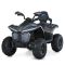 Дитячий квадроцикл-толокар 3 в 1 M 6222EBLRS-11 до 23 кг
