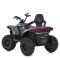 Дитячий квадроцикл-толокар 3 в 1 M 6222EBLRS-11 до 23 кг