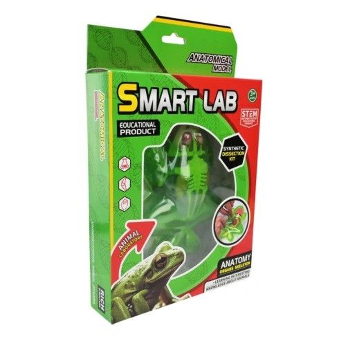 Дитячий лабораторнний набір Жаба 801B, скелет, внутрішні органи