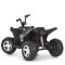 Дитячий електромобіль Квадроцикл M 6283EL-1-2 до 30 кг