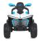 Дитячий квадроцикл-толокар 2 в 1 M 6222EBLR-1-4 до 50 кг