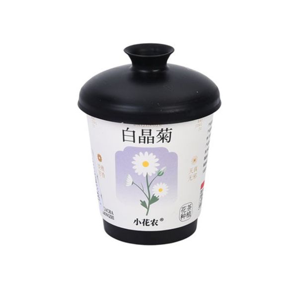 Ботанічні експерименти "Квіти в горщику" X2024-153-3 ґрунт, насіння, стакан з кришкою