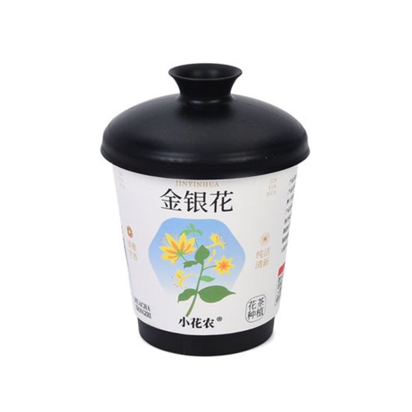 Ботанічні експерименти "Квіти в горщику" X2024-153-4 ґрунт, насіння, стакан з кришкою