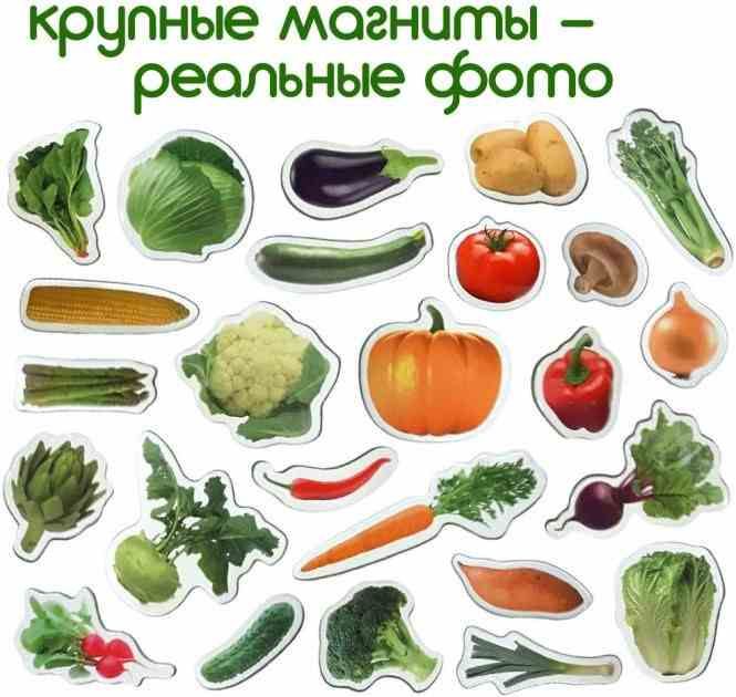 Набір магнітів Magdum "Овочі" ML4031-12 EN