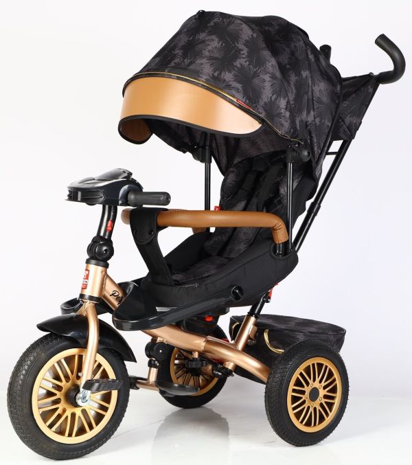 Дитячий триколісний Велосипед BestTrike "Perfetto" (8066/380-29) поворотне сидіння