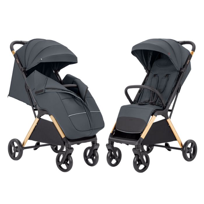 Дитяча Прогулянкова коляска CARRELLO Cross (CRL-5523 Eagle Grey)