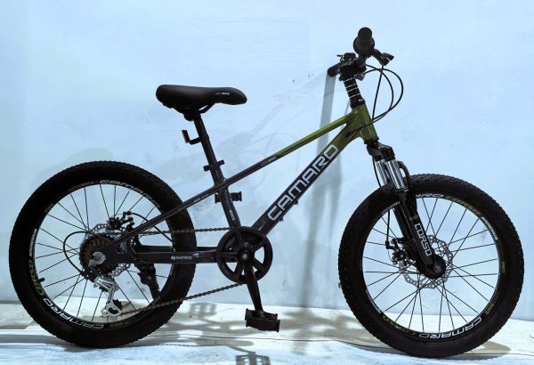 Дитячий спортивний велосипед 20" дюймів Corso «Camaro» CM-91254