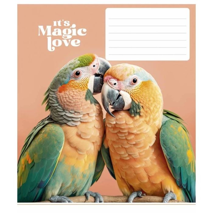 Зошит учнівський "It's a magic love" 012-3300L-1 в лінію, 12 аркушів 