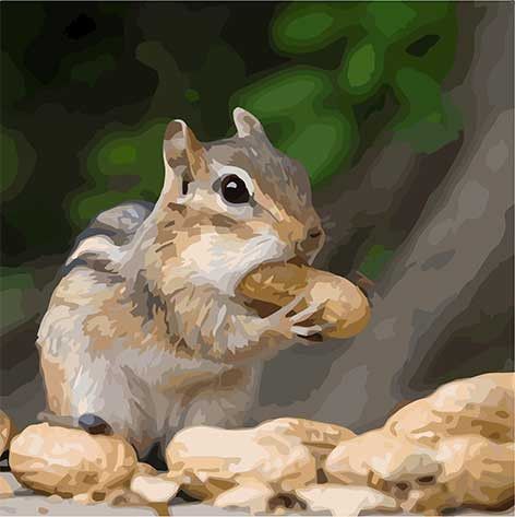 Картина за номерами. Art Craft "Крихітка бурундук" 40 * 40 см 11610-AC